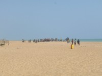 /album/grand-popo/a265-jpg/