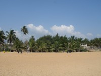 /album/grand-popo/a266-jpg/