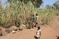 /album/tata-somba/a029-jpg/