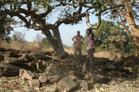 /album/taneka/a086-jpg/