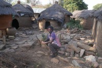 /album/taneka/a098-jpg/