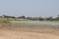 /album/pendjari/a113-jpg/