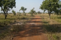 /album/pendjari/a120-jpg/