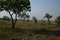 /album/pendjari/a121-jpg/