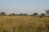 /album/pendjari/a139-jpg/