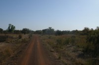 /album/pendjari/a184-jpg/