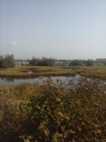 /album/ouidah/cam00992-jpg/
