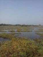/album/ouidah/cam00995-jpg/