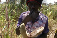 /album/tata-somba/a028-jpg/