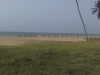 /album/grand-popo/cam00782-jpg/