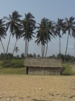 /album/grand-popo/cam00779-jpg/