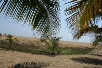 /album/grand-popo/a231-jpg/