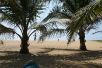 /album/grand-popo/a232-jpg/