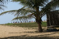 /album/grand-popo/a238-jpg/