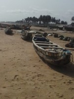 /album/grand-popo/cam00776-jpg/