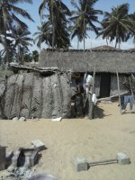 /album/batik/cam00943-jpg/