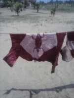 /album/batik/cam00878-jpg/