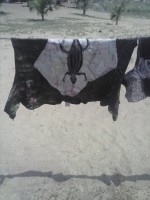 /album/batik/cam00870-jpg/