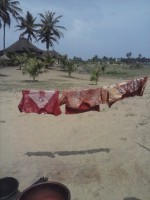 /album/batik/cam00887-jpg/