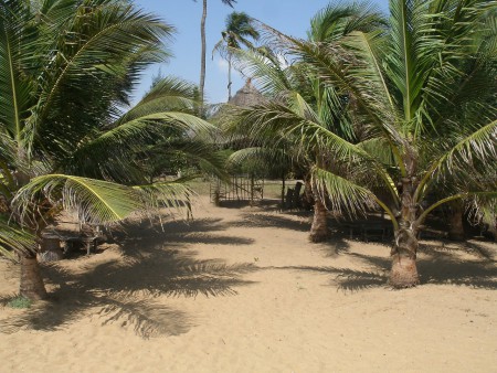 en allant sur la plage...