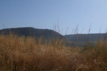 à l'entrée du parc