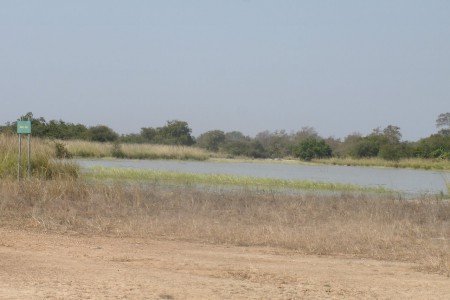 la mare aux crocodiles et hippopotames