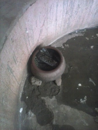 il y en a 2 qui se rafraichissent dans une jarre