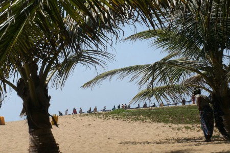 Des hommes tirent les fillets de pêche