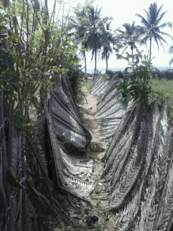 Le petit raccourci pour rentrer à l'hotel